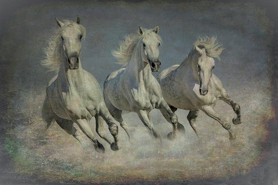 Three Running Horses - stormy Digital Art by Steve Ladner