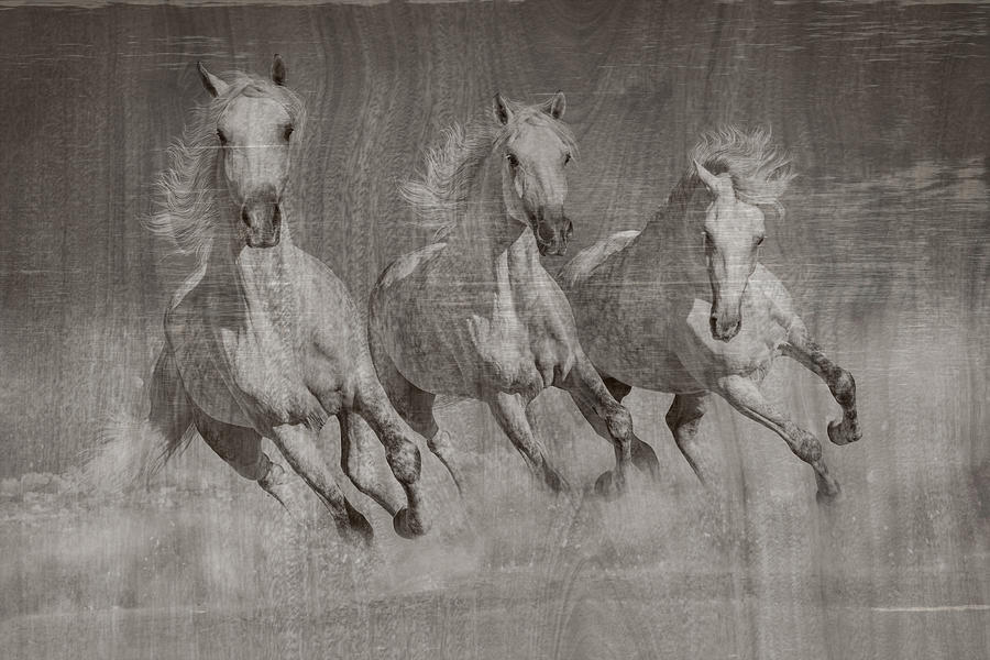 Three Running Horses - wood Digital Art by Steve Ladner