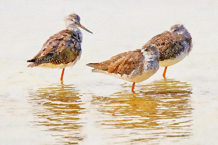 Three Sandpipers Watercolor Mixed Media by Susan Rydberg