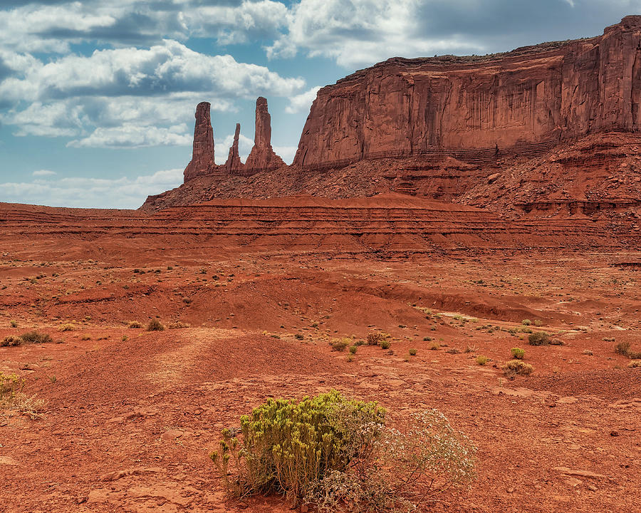 Brush Photograph - Monument Valley 7 by Thomas Hall