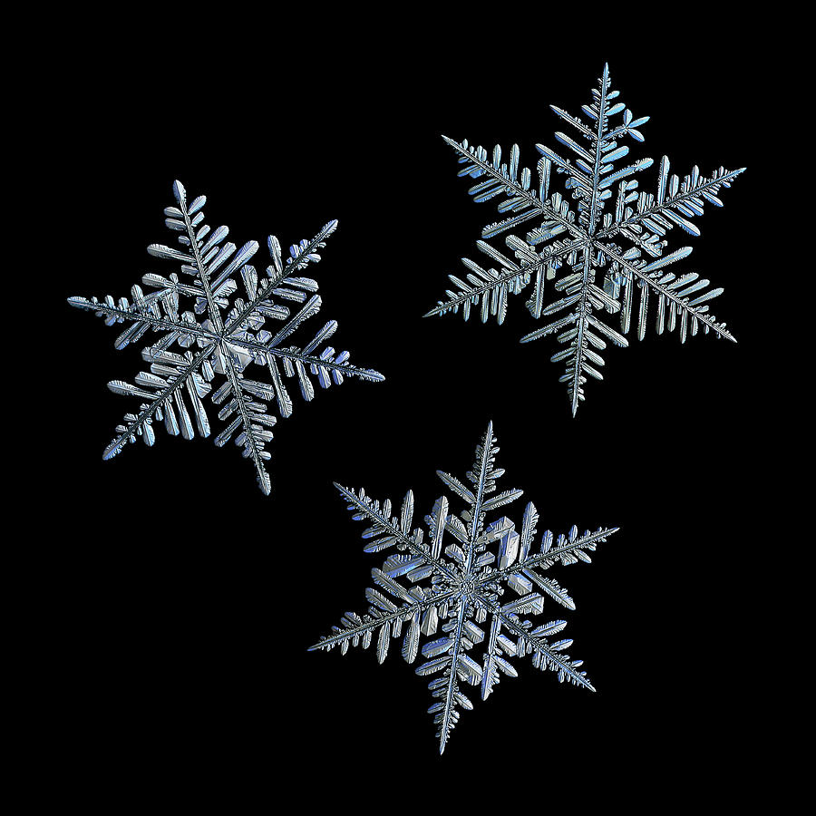 Three snowflakes on black background - 1 Photograph by Alexey Kljatov
