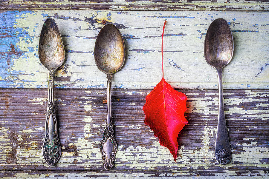 Three Spoons And A Red Leaf Photograph by Garry Gay
