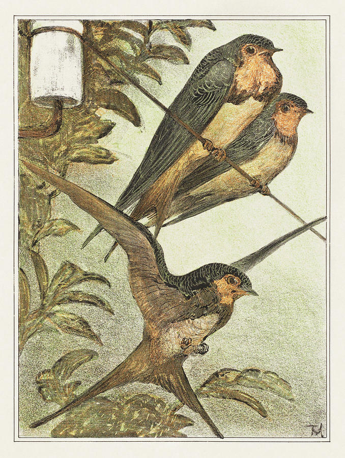 Swallow Painting - Three swallows by Theo van Hoytema