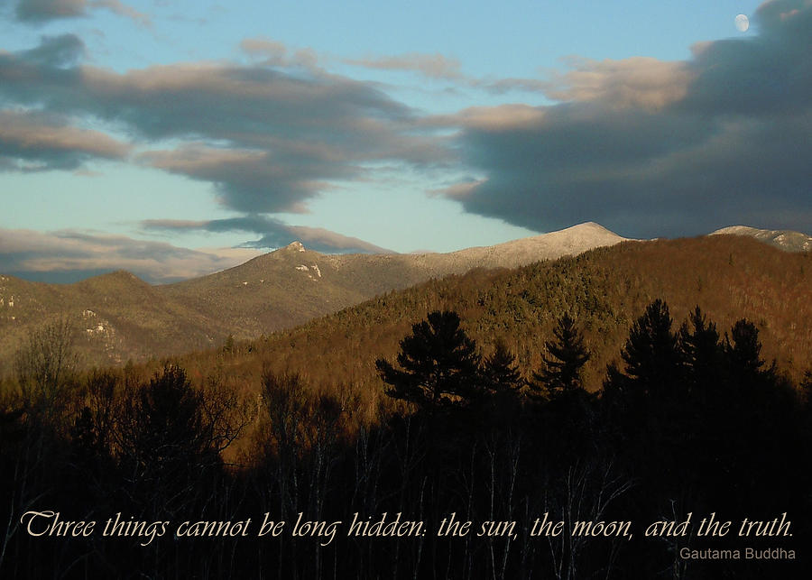 Three Things and the Mountains Photograph by Nancy Griswold