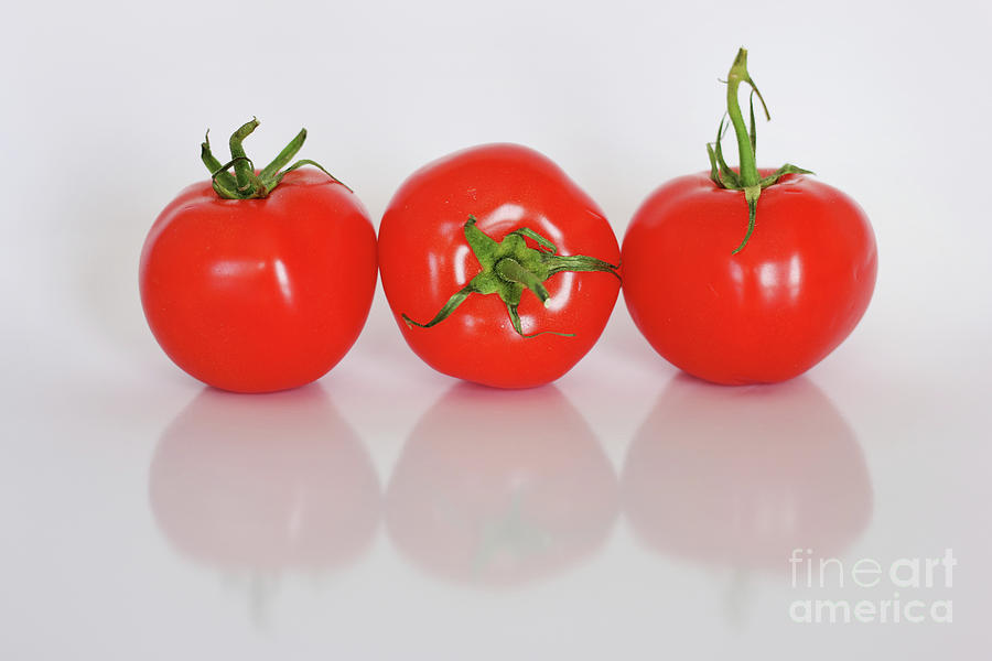 Three Tomatoes 9110 Photograph by Jack Schultz