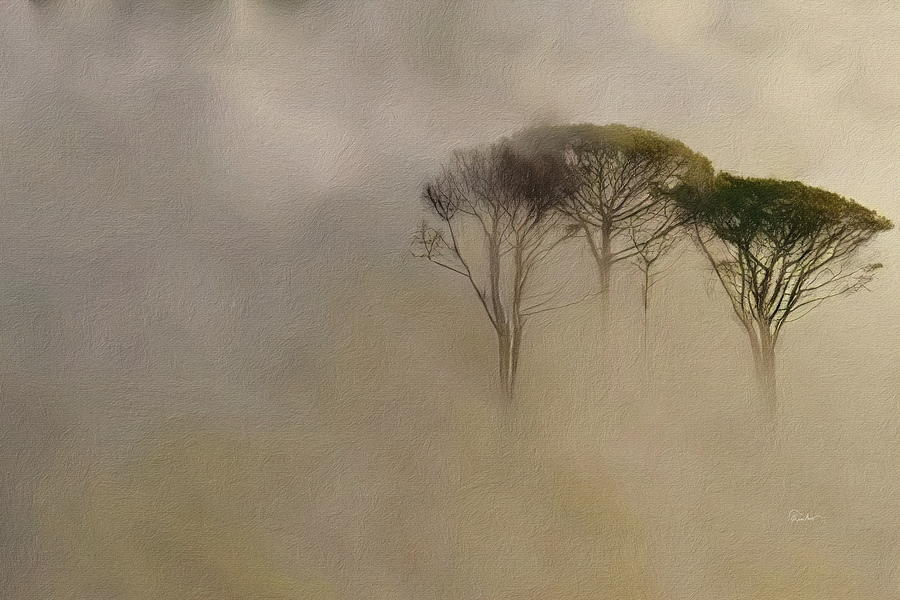 Three Tree Tops in Fog Digital Art by Russ Harris