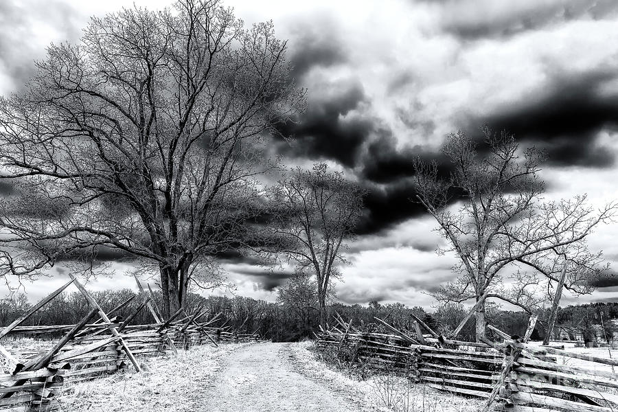 Three Trees at the Gettysburg Battlefield Photograph by John Rizzuto