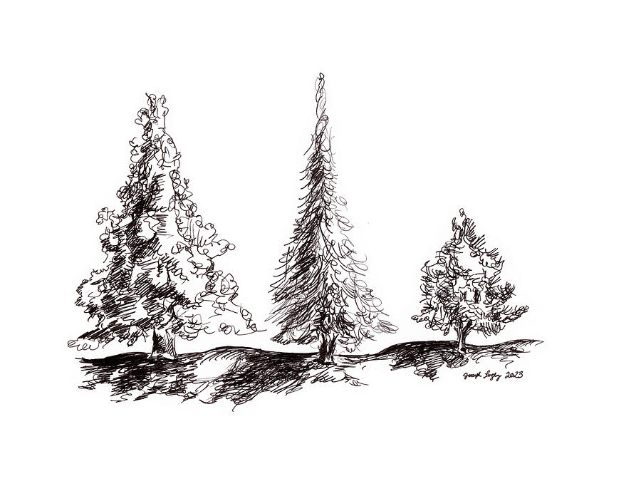Three Trees for 2023 Drawing by Joseph A Langley
