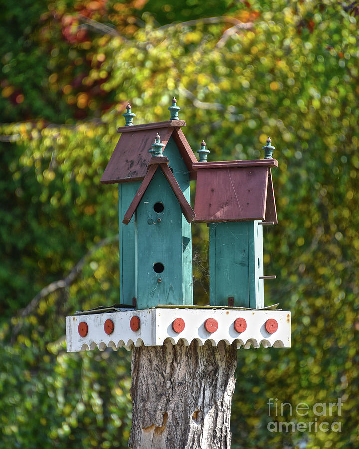 Three Turquoise Birdhouses Photograph