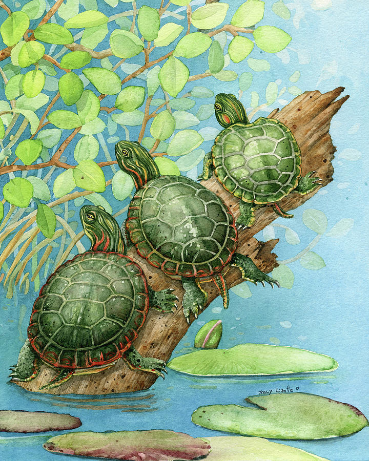 Three Turtles on a Log Painting by Tracy Lizotte - Fine Art America