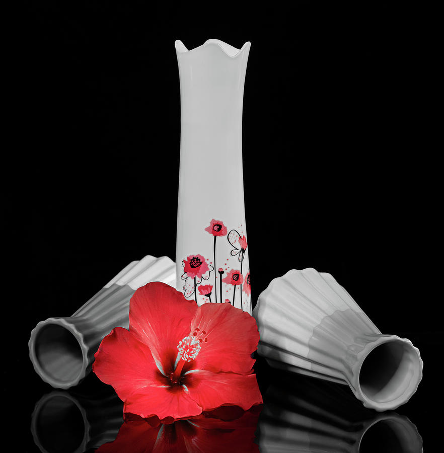 Three Vases  Photograph by Sylvia Goldkranz