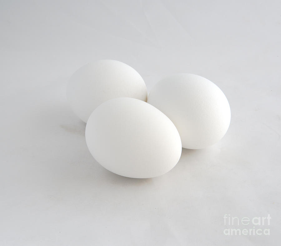 Three White Eggs Photograph by Kae Cheatham