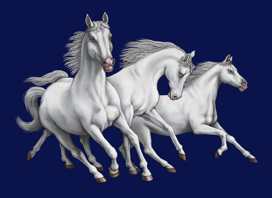 Three White Horses Digital Art by Scott Ross