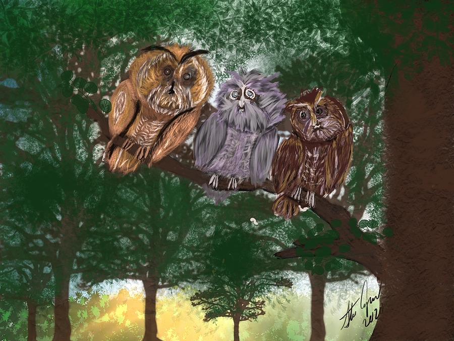 Three Wise Owls in a Tree Digital Art by Steve Carpentier