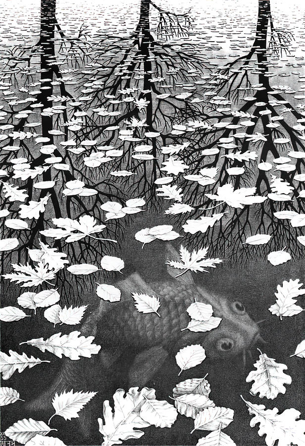 Fish Painting - Three Worlds by M C Escher