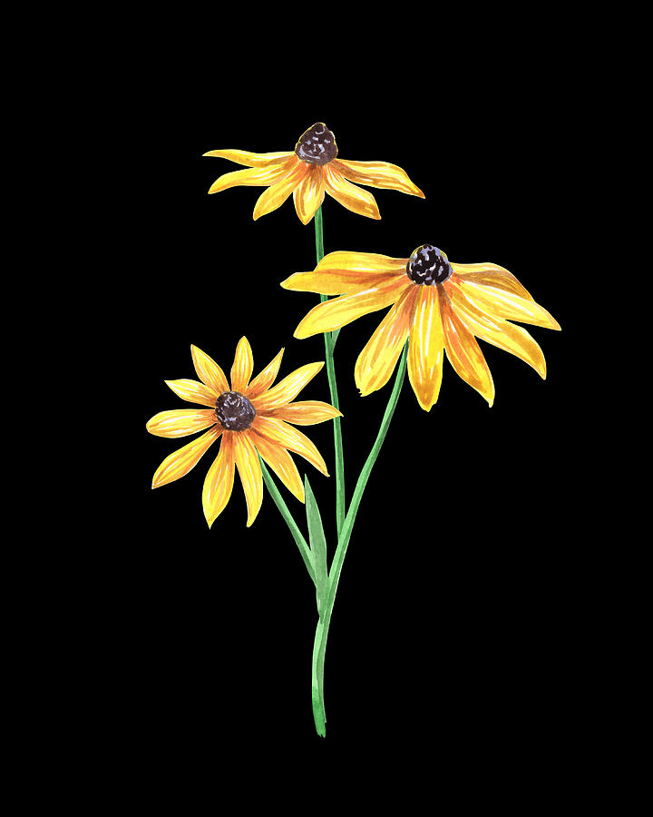 Three Yellow Black Eyed Susan Flowers Floral Art Minimalism PNG  Painting by Irina Sztukowski