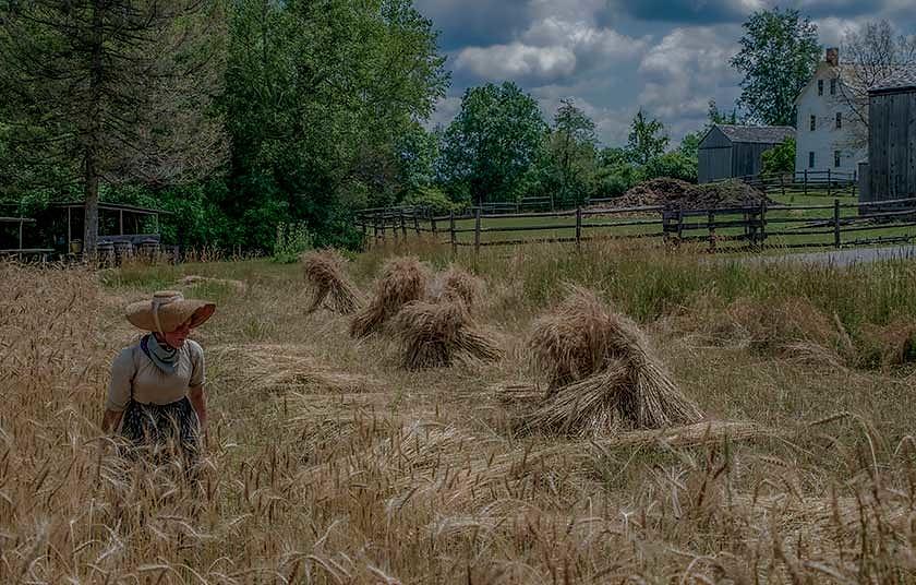 Threshing the Wheat Photograph by Regina Muscarella