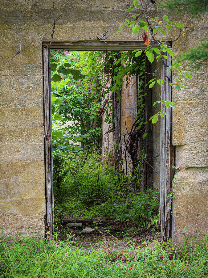 Through An Abandoned Door Photograph by Kristia Adams