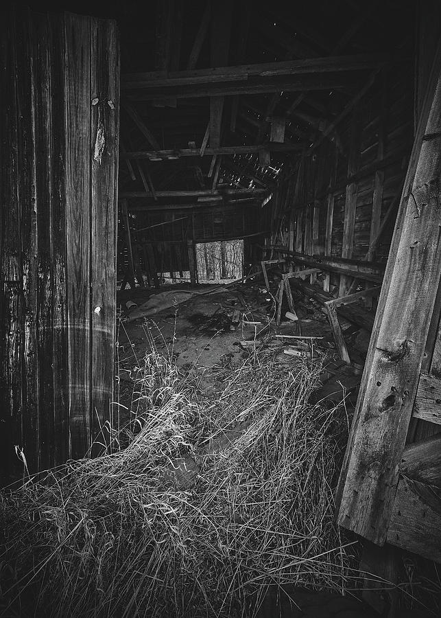 Through Barn Doors Photograph