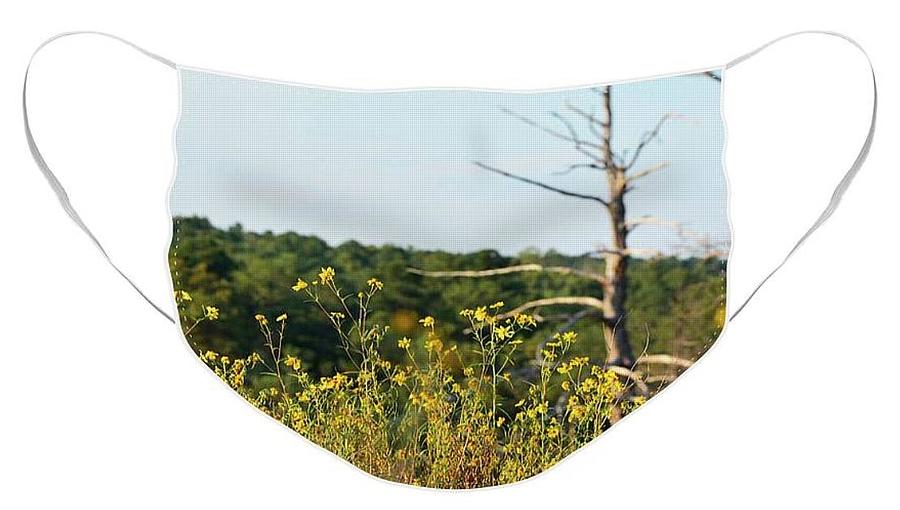 Stay Safe Photograph - Through It All We Grow III - Face Mask - SEE DESCRIPTION FOR ORDER INSTRUCTIONS by Nicole Chisholm Stay Safe Photograph - Through It All We Grow III - Face Mask - SEE DESCRIPTION FOR ORDER INSTRUCTIONS by Nicole Chisholm