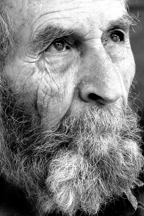 Through the eyes of the wise Photograph by Engle Meredith Through the eyes of the wise Photograph by Engle Meredith
