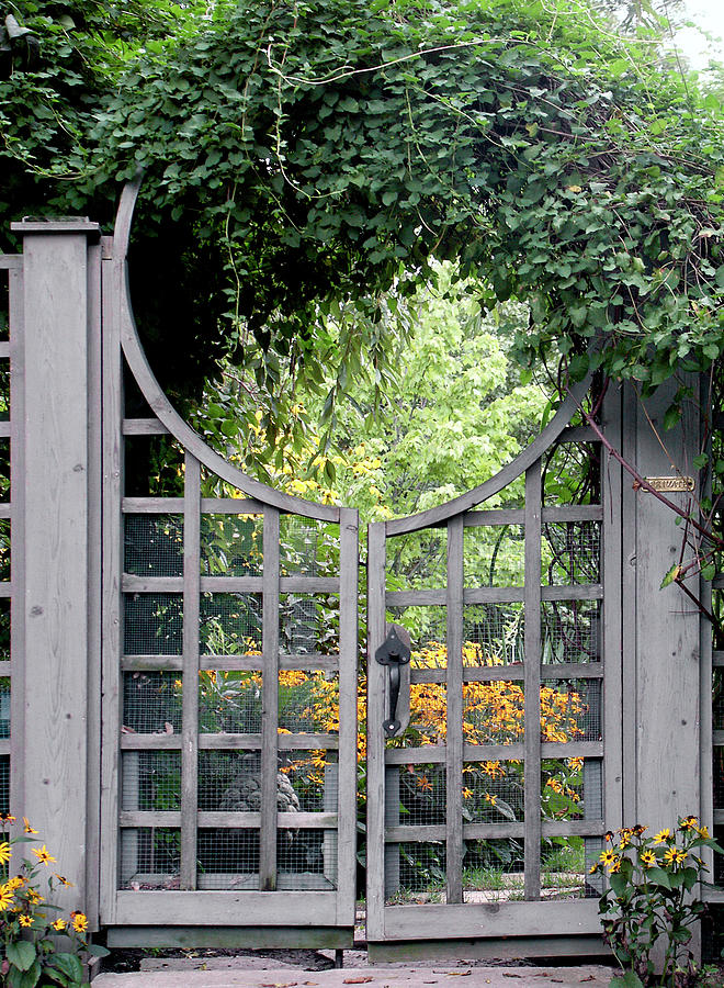 Through the Garden Gate - Art print Photograph by Kenneth Lane Smith