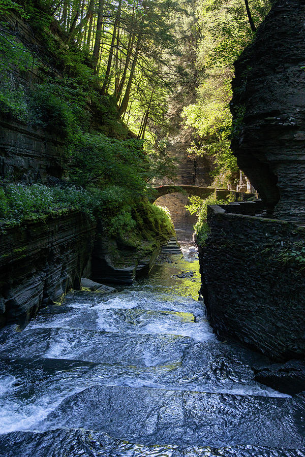 Through the Gorge 1 Photograph by Dimitry Papkov