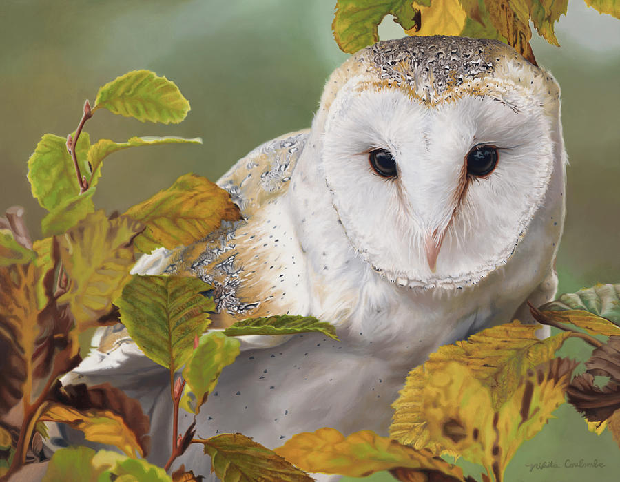 Through the Leaves - Barn Owl Painting by Nikita Coulombe