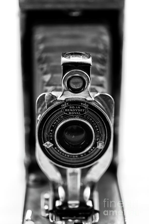 Through the Lens of a Vintage Bellows Camera Photograph by John Rizzuto