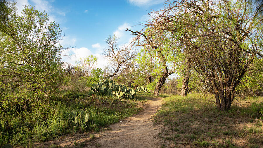 Golden Hour on the Frio Trail - Garner State Park, Texas Hill Country Photograph by Brigitte Blanchette Thompson Golden Hour on the Frio Trail - Garner State Park, Texas Hill Country Photograph by Brigitte Blanchette Thompson