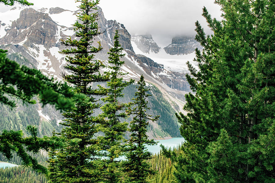 Through the Trees to Marvel Lake - Banff National Park, Canada ...