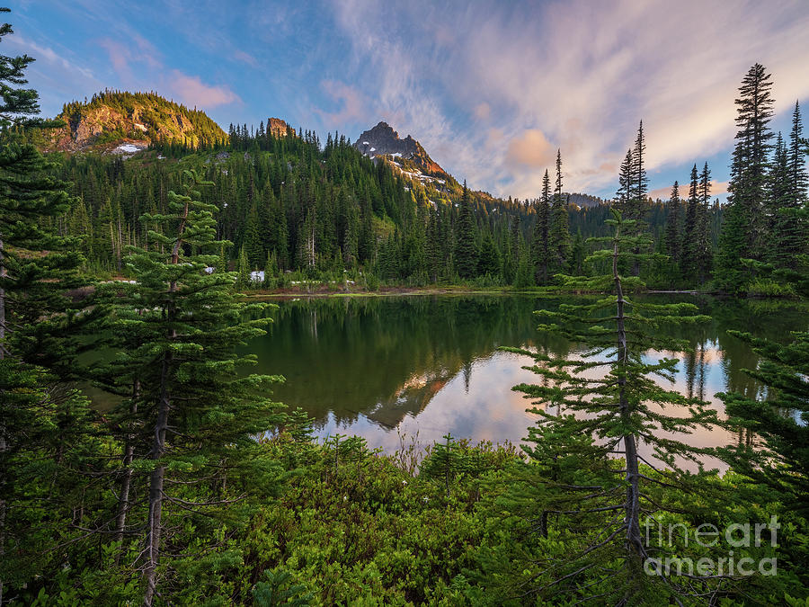 Mount Rainier National Park Photograph - Through the Trees to Pinnacle Peak by Mike Reid