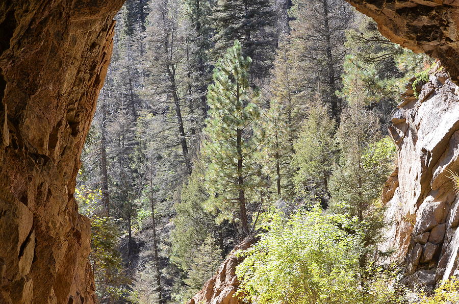 Through The Tunnel Photograph by Clarice Lakota