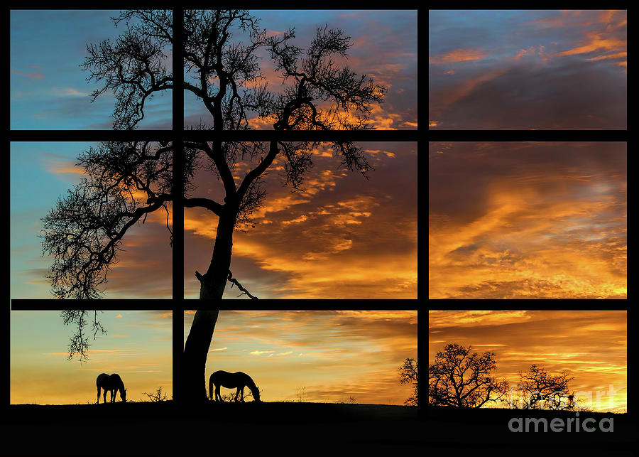 Through the Window Horses and Oak Tree Photograph by Stephanie Laird