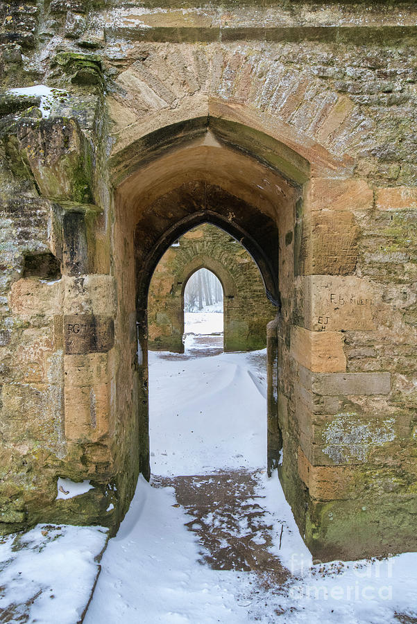 Through the Winter Archway Photograph by Tim Gainey