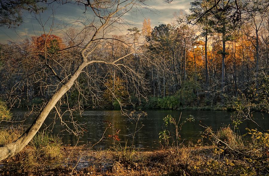 Through the Woods and near the lake Photograph by Montez Kerr