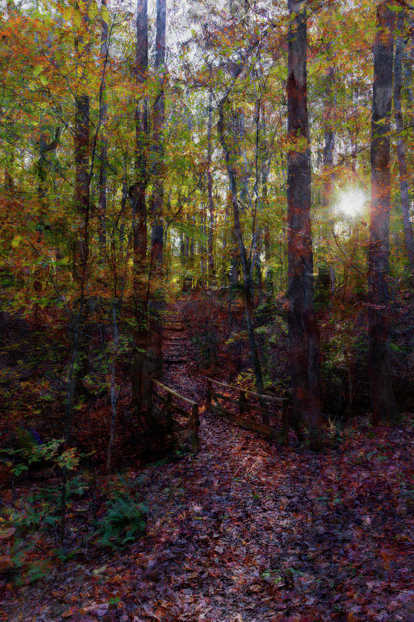 Through the Woods Painterly Photograph by Amy Sorvillo