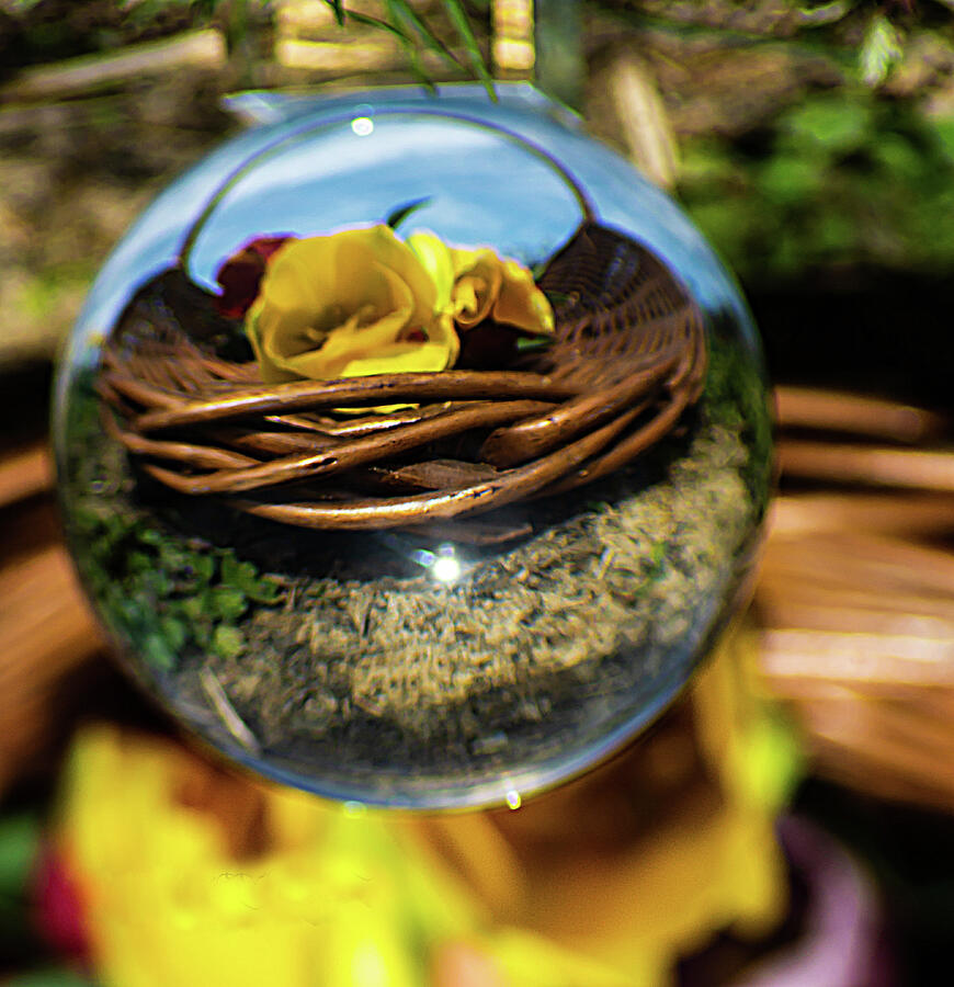 Nature Photograph - Thru the Mirror Ball by Gerri MacIlvane
