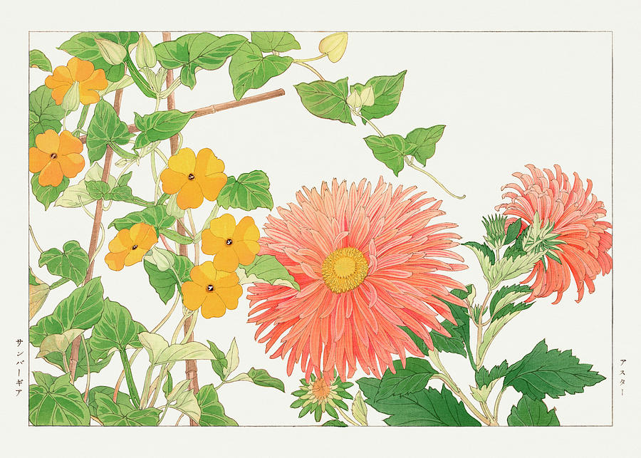 Thunbergia and Aster Flower - Ukiyo e art - Vintage Japanese woodblock art - Seiyo SOKA ZUFU Digital Art by Studio Grafiikka