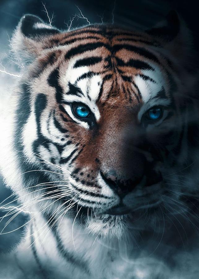 Thunder Lightning Tiger Digital Art by Decor Studio | Pixels