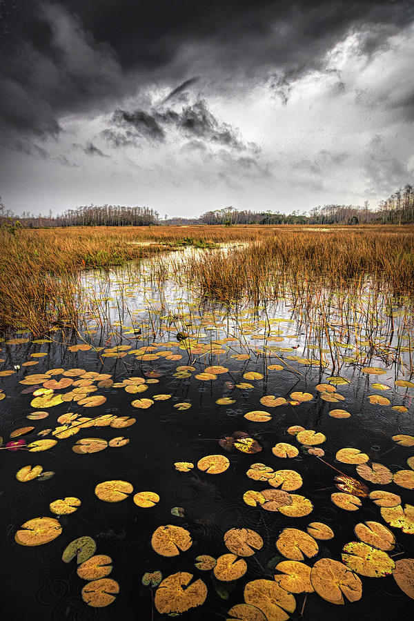Thunder over the Autumn Marsh Photograph by Debra and Dave Vanderlaan