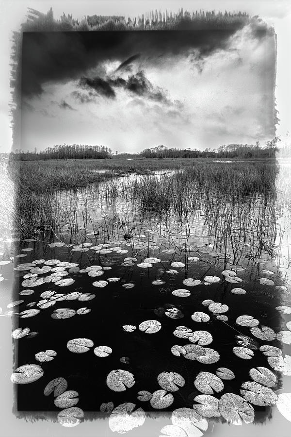 Thunder over the Marsh in Black and White  Photograph by Debra and Dave Vanderlaan