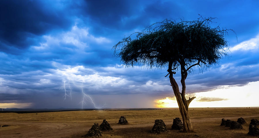 Tree Photograph - Thunderstorm Over Ol-Pejeta by Phil And Karen Rispin