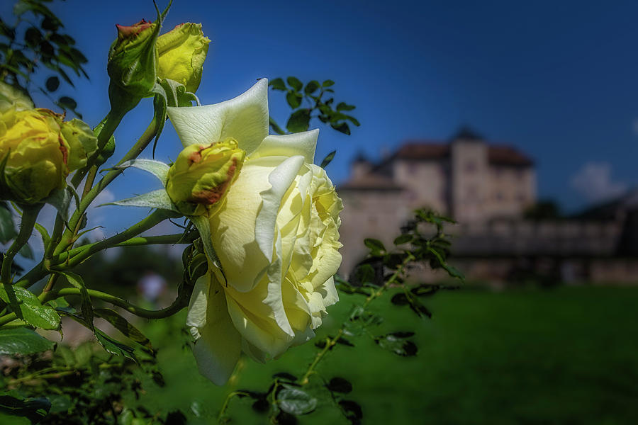 Thuns Castle Photograph by Roberto Pagani