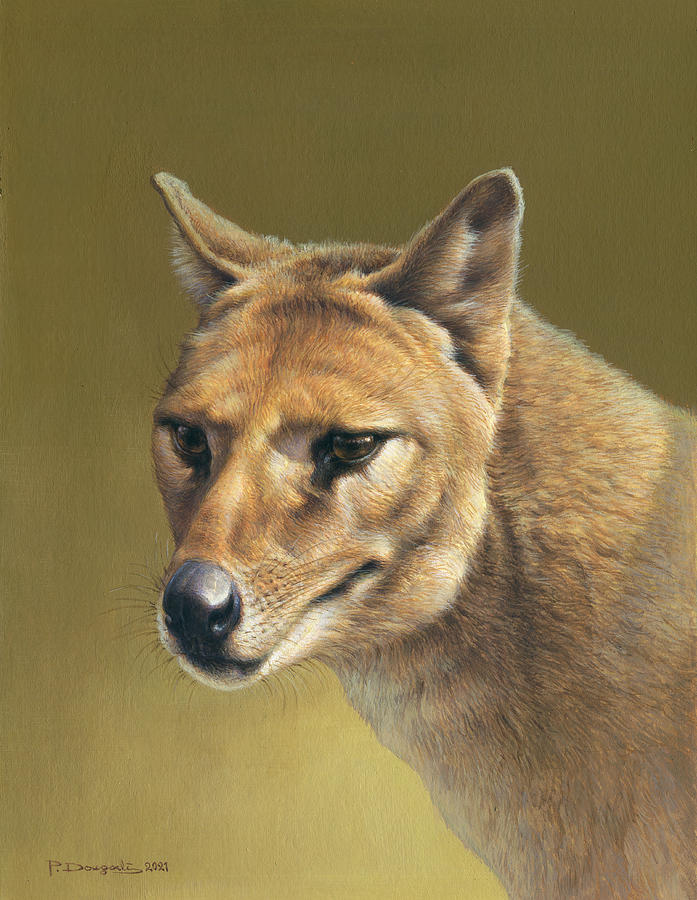 Thylacine portrait Painting by Paschalis Dougalis - Fine Art America