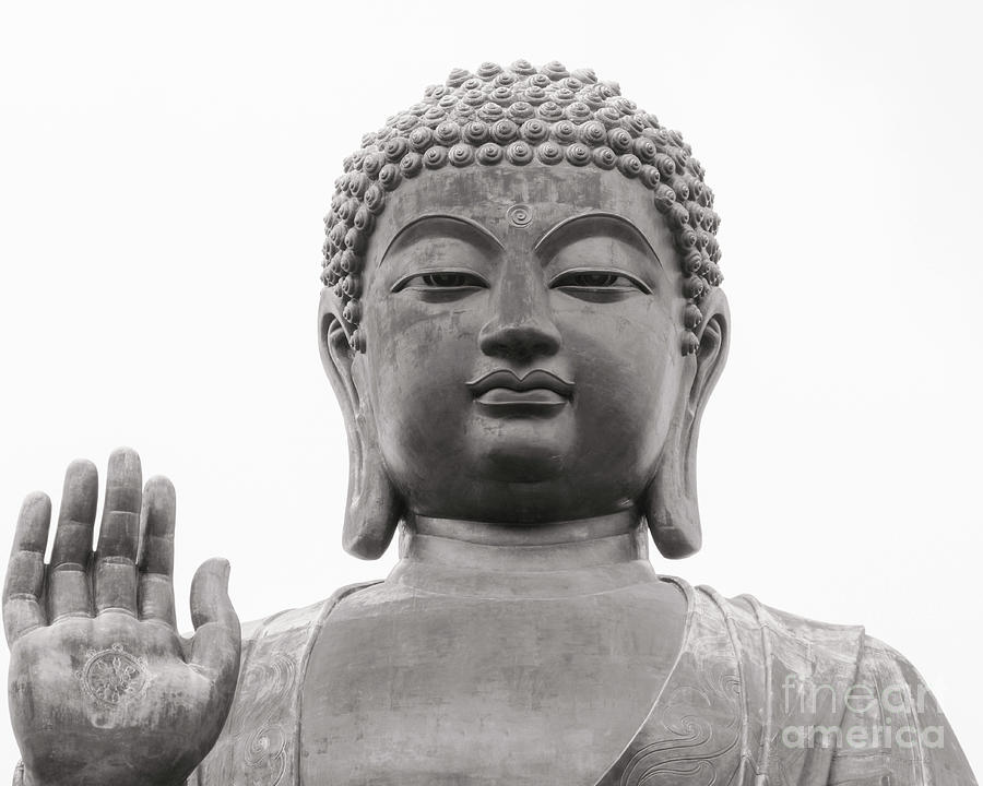 Tian Tan Buddha Photograph by Tom Watkins PVminer pixs