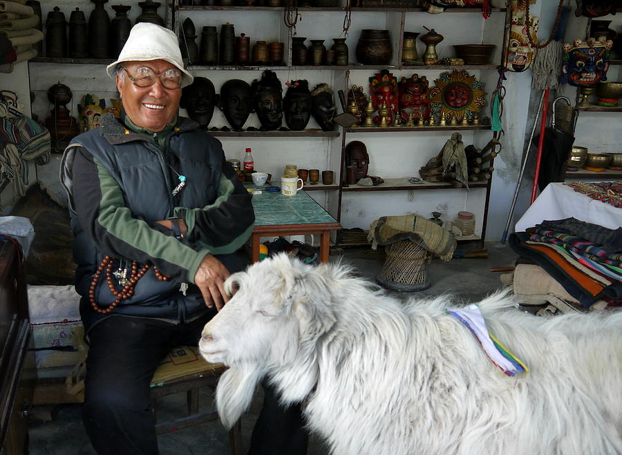 Tibetan Photograph - Tibetan Goat in a Tibetan Shop by Juliette Cunliffe