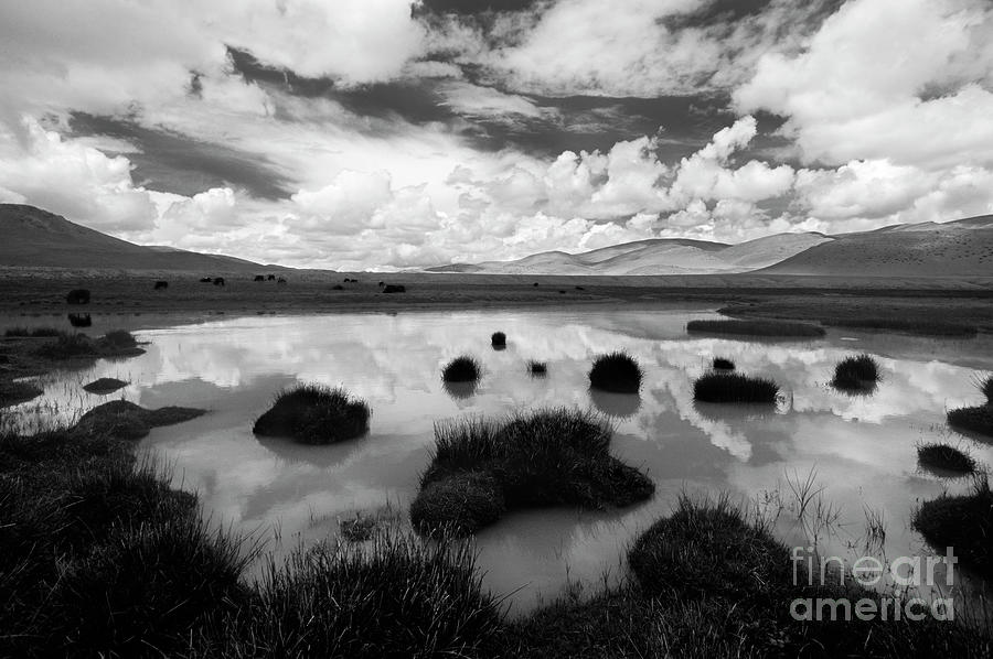 Tibetan Reflections Photograph by Craig Lovell