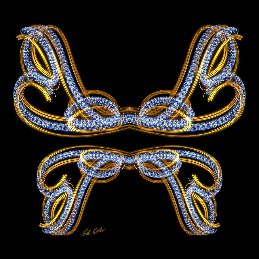 Butterfly Photograph - TIC 20180226-7750 Mirrored Quad Butterfly by The Illuminated Canvas
