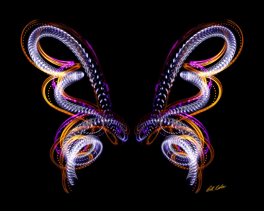 Butterfly Photograph - TIC 20180228-8050 Mirrored by The Illuminated Canvas
